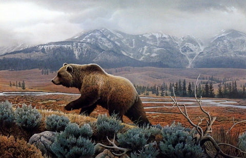 Jerry Gadamus Yellowstone Mist-Grizzly