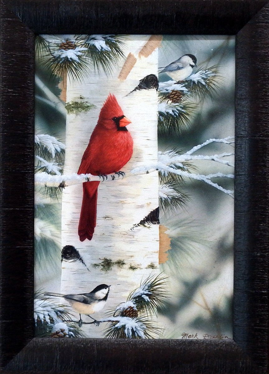 Mark Daehlin Feathered Friends I-Textured Framed Print