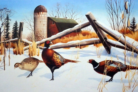 Leo Stans Three's Company Signed and Numbered Pheasant Print