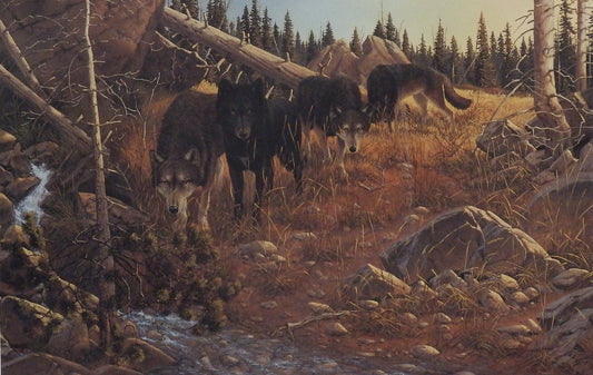 Derk Hansen Eyes of the Hunter