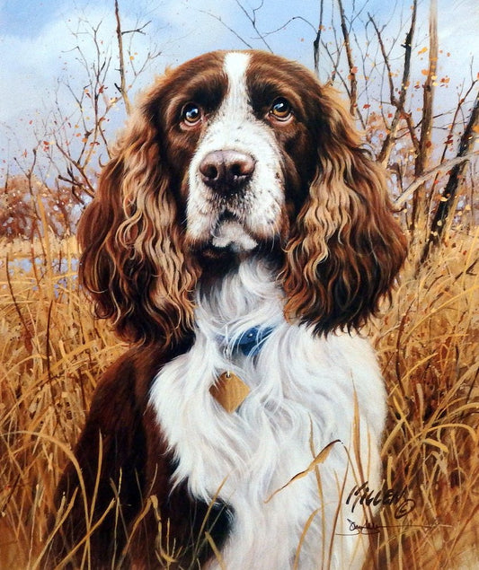 James Killen That's My Dog Too-Springer Spaniel-Signed
