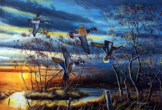 Jim Hansel Autumn Splendor Wood Duck Print