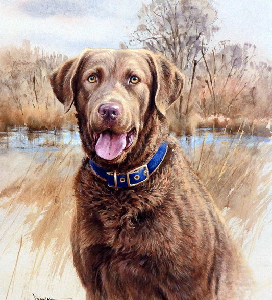 James Killen That's My Dog Too-Chesapeake