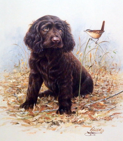 James Killen Pride and Joy Boykin Spaniel-Signed