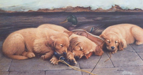 James Killen Golden Dream Golden Retriever