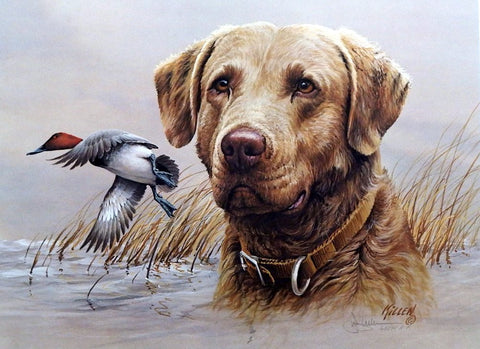 Duck hunter with dog Photographic Print for Sale by PepaAnaRB