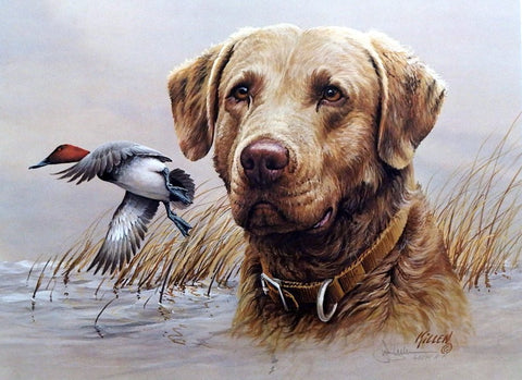 James Killen Cheaspeake-Canvasback S/N A/P Print