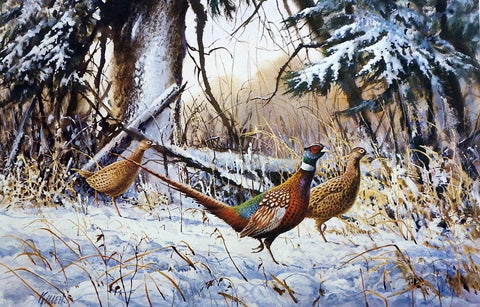 James Killen First Snow Pheasant Print AP