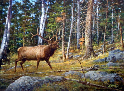 James Killen Deep Woods Monarch-Elk-Signed