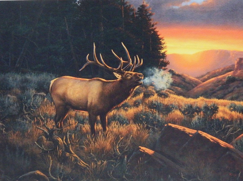 Derk Hansen Frosty Elk