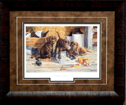 Terry Doughty Caught in the Act - Framed Print