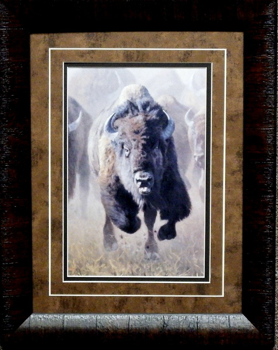 Kyle Sims Full Throttle Buffalo Bison Framed print