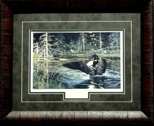 Andrew Kiss Sunlit Loon Print-Framed 21 x 17
