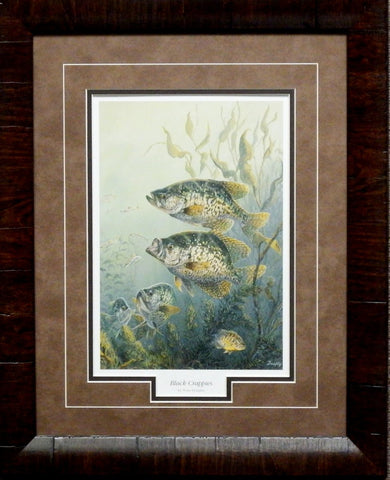Terry Doughty Black Crappies-Framed