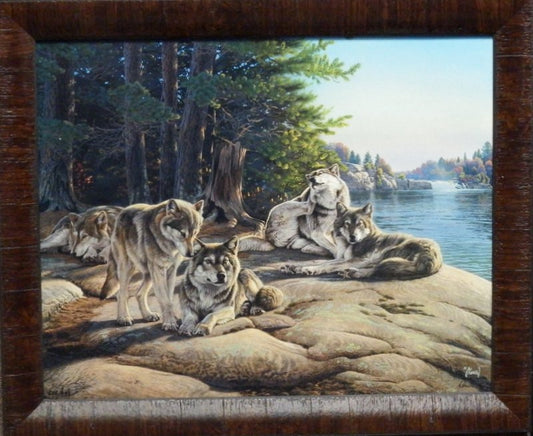 Al Agnew Wolf Ridge-Framed