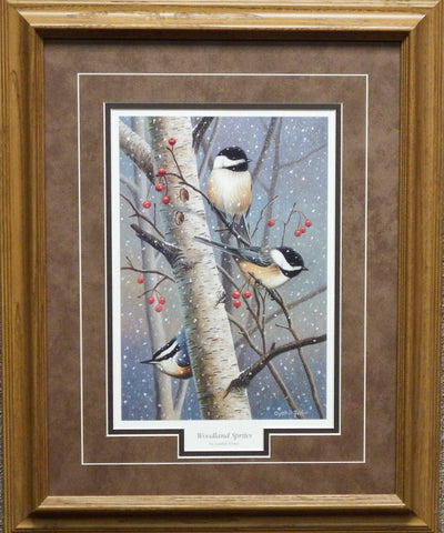 Cynthie Fisher Woodland Sprites-Framed