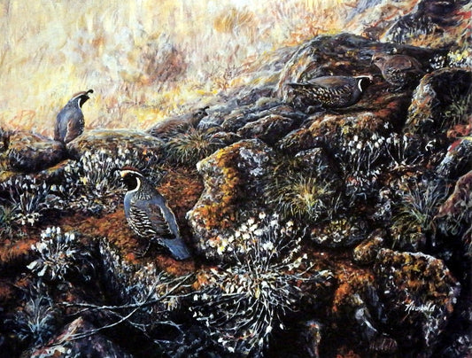 Ed Newbold California Quail
