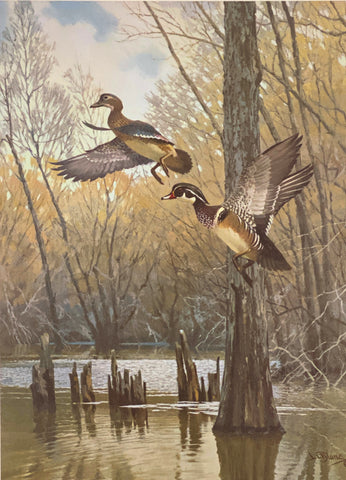Lee LeBlanc Open Edition Wood Duck Art Print Through the Trees (14"x19")
