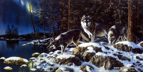 Jim Hansel Night Lights - 33"x 17" Open Edition
