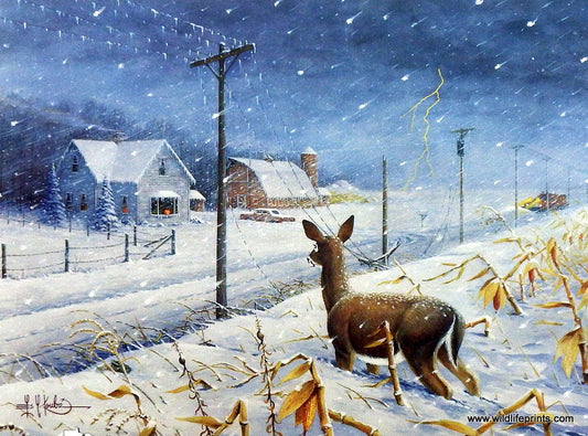 Les Kouba 1991 Halloween Mega Storm Legacy - 23.5" x 16" Open Edition Legacy