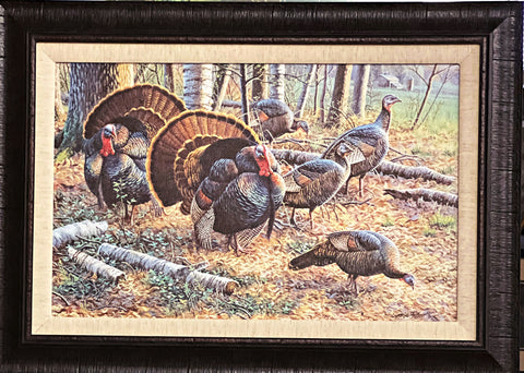 Cynthie Fisher Wild Turkey Canvas Art Print-Framed 27 x 19