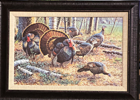 Cynthie Fisher Wild Turkey Canvas Art Print-Framed 27 x 19