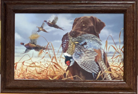 Scot Storm Field Companion Chocolate Lab Pheasant Decorator Print-Framed 14.5 x 10.5