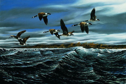 Terry Redlin Whitecaps S/N AP Canadian Goose Print