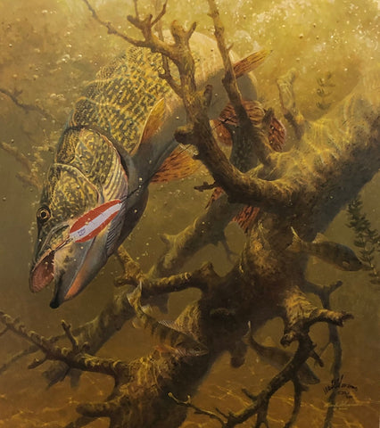Susinno Hung Up Northern Pike S/N (18x20)