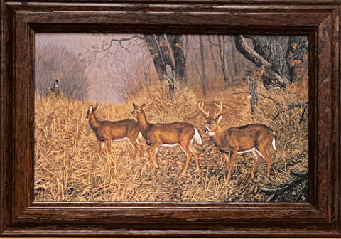 Terry Doughty Caught in the Act Puppy Art Print-Framed (Wood) 14.5 x 10