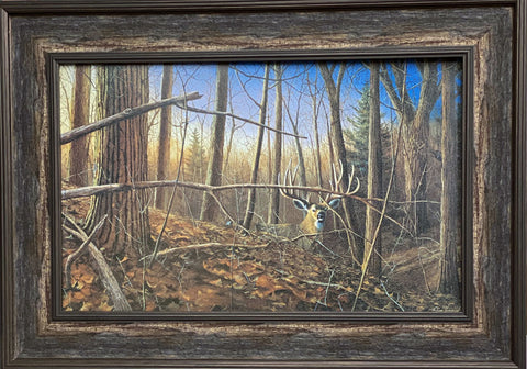 Jim Hansel Under Cover Deer Buck Art Print-Framed 27 x 19