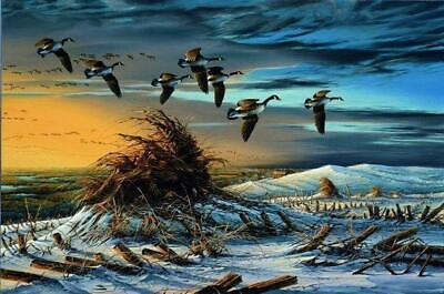 Terry Redlin High Country Canada Goose Farm Art Print with Certificate 24 x 14