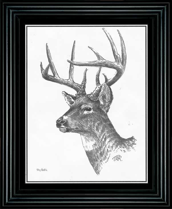 Deer sketch. pencil drawing by hand. vintage colors. vector image. |  CanStock