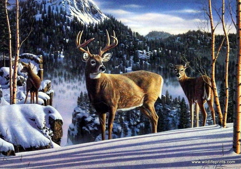 Kim Norlien Morning View - 33"x175- Open Edition