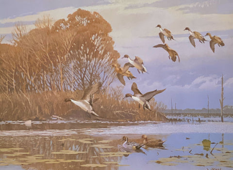 Lee LeBlanc Pintails Duck Print Autumn Flight (19"x14")