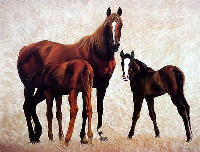 Diana Beach "Company for Dinner" Horse and Colt Print