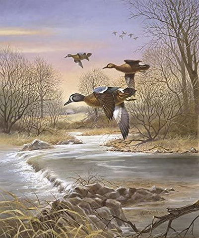 R.J. McDonald Elkhorn Creek Blue-Wings S/N Print 17 x 20.5