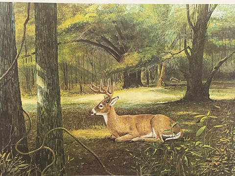 Ralph McDonald Signed/Numbered Deer Art Print The Camp Bryan Whitetail with Cert (27"x19.25")