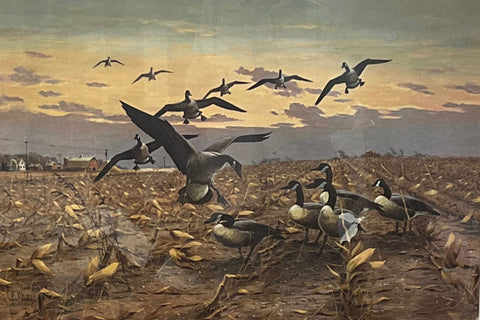 Les Kouba The Picked Field Canadian Geese farm Cornfield A/P Art Print 24 x 17