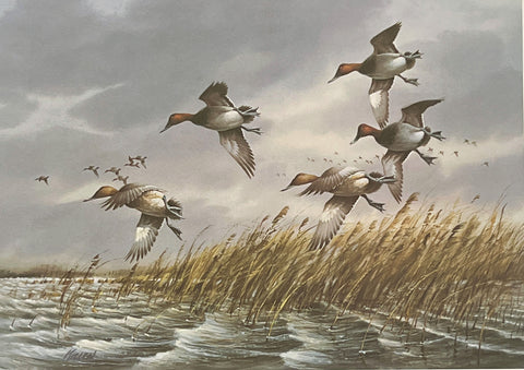 James Killen Rough Water Cans Duck Art Signed Print 25 x 18