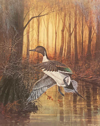 R.J. McDonald Walkers Pond Pintail Duck Art S/N Print 19 x 23