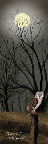 Billy Jacobs Barn Owl Art Print 12x36