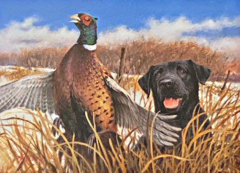 Jim Killen Startled Pheasant Black Lab Art Print  (9x6.5)