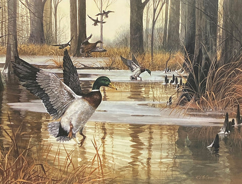 R.J.Mcdonald Beaver Dam Mallards S/N Art Print 21 x 16