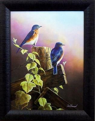 Jim Hansel "Touch of Spring" Bluebird  Studio Canvas Framed Print- 15" x 19"