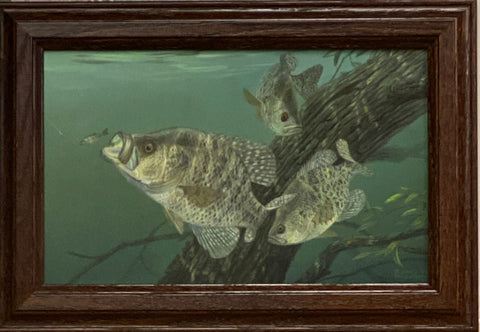 Randy McGovern Tree Dwellers Crappie Fishing Art Print-Wood Frame 14.5 x 10.5