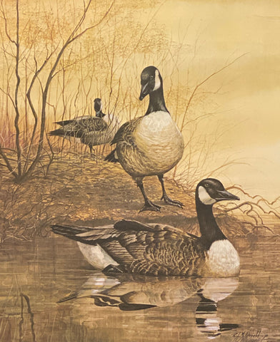 R.J. McDonald Gabby's Farm Candian Honker Art Print 18.5 x 21.5