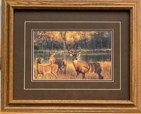 Nancy Glazier Shadow Time Deer Art Print-Framed (Oak) 21 x 17