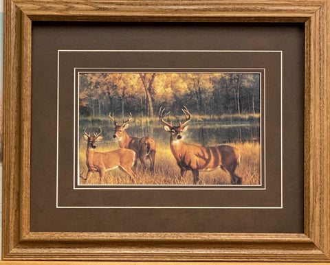 Nancy Glazier Shadow Time Deer Art Print-Framed (Oak) 21 x 17