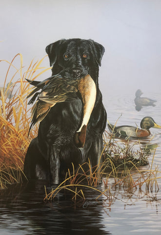 Scot Storm Black Lab Hunting Dog Art Print A Mouthful Art Print (7x10) (Free Shipping)